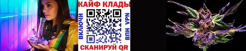 Виды наркотиков купить Нижний Новгород Cocaine  Гашиш  Лсд 25  МАРИХУАНА  Alpha-PVP  Псилоцибиновые грибы 