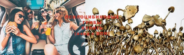 прущая мука Алексин