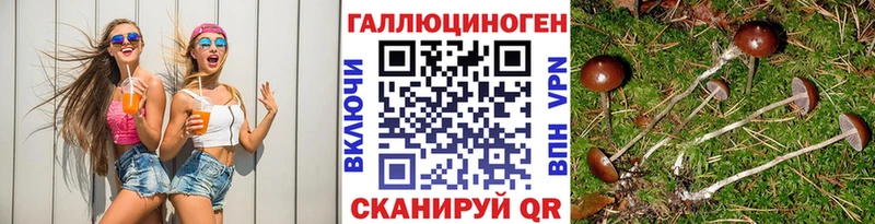 наркотики  Нижний Новгород  Галлюциногенные грибы MAGIC MUSHROOMS 